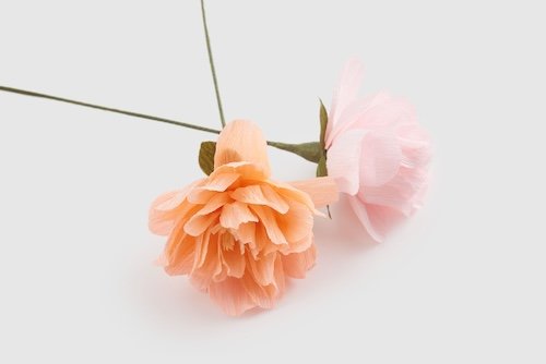 Crepe Paper Flowers