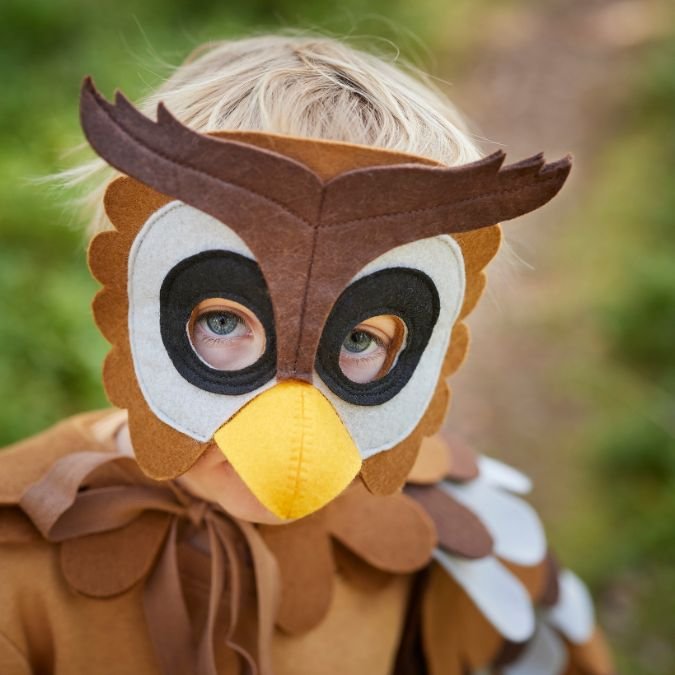 Create a Fun Owl-Inspired Mask: Perfect for Costume Parties and Trick-or-Treating