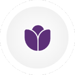 BRODERI BIBLIOTEK
