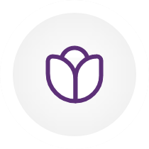 Bibliotektilgang Icon