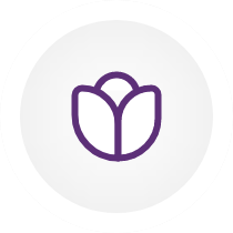 Library Access Icon