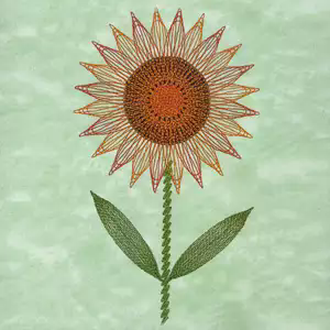 Spiro-sunflower-footer.jpg